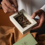 موري المناسبات - توله