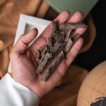 كمبودي المعاريس