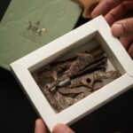 تراد النخبة