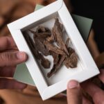 ماليزي قديم